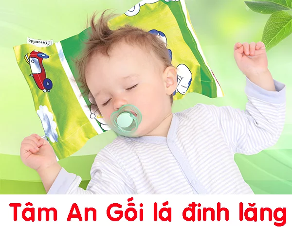 Gối lá đinh lăng