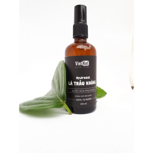 hydrosol lá trầu không