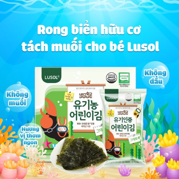 Rong biển hữu cơ tách muối, tách dầu cho bé từ 6 tháng Lusol 100% hữu cơ Hàn Quốc
